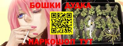 дживик Тверь