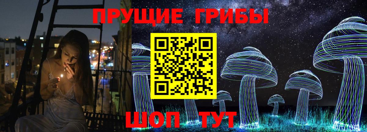 Галлюциногенные грибы Cubensis Сальск