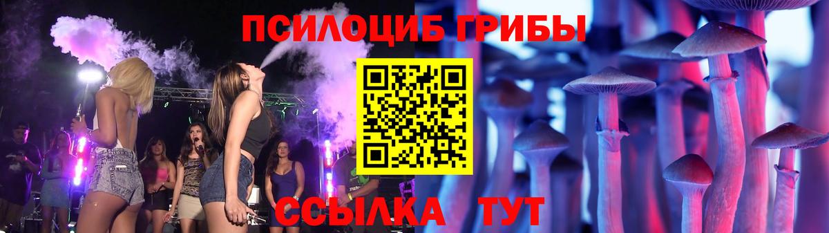 Сальск  Галлюциногенные грибы MAGIC MUSHROOMS  Вход с VPN 
