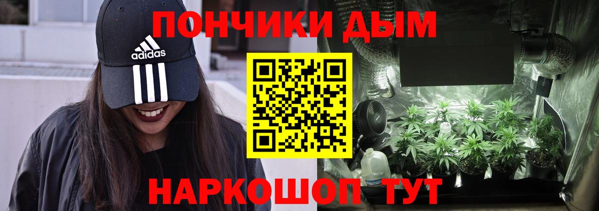 Канабис планчик  Каннабис White Widow  Сальск  Марихуана конопля  Вход с VPN  Бошки марихуана сатива 